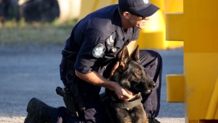 Senior Constable Fysh described PD Thor as his best mate as well as a wonderful family dog and brilliant working dog.