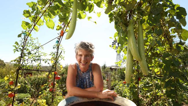 15.3.2016.Sophie Thomson and her garden at Mount Barker Springs. pic tait schmaal.