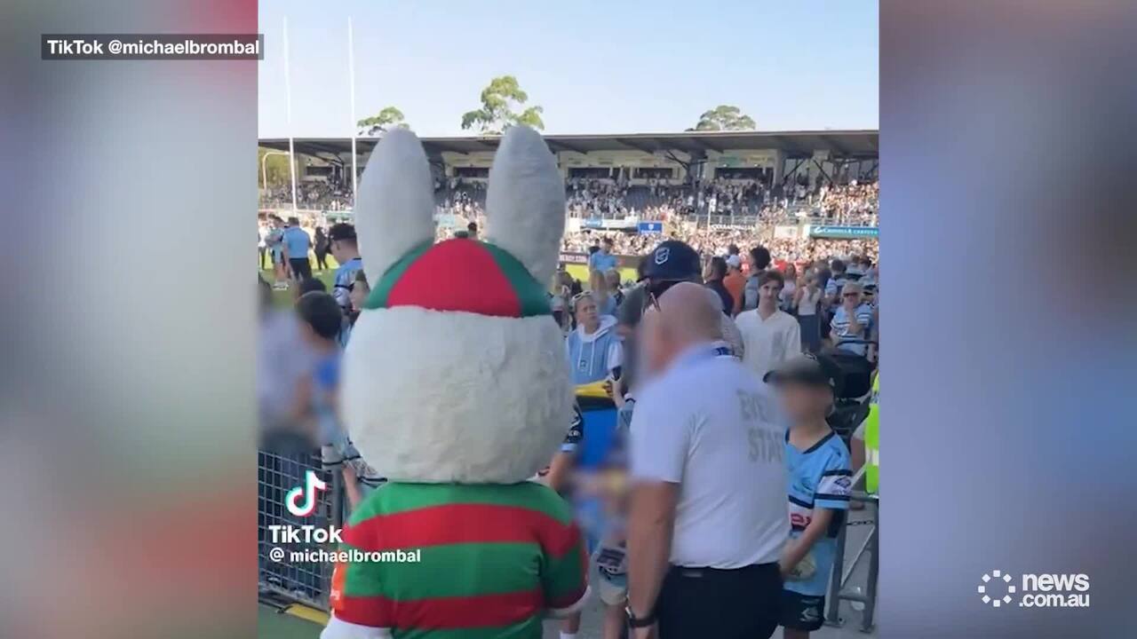 Reggie the Rabbit pushes a youngster at the Sharks vs Souths game on Saturday