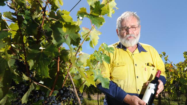 Temple Bruer Wines at Strathalbyn. David Bruer with his Cabernet Sauvignon grape vines. Pic: Tricia Watkinson.