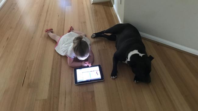 Cassie Stubbs said her dog Bonnie, who died after being bitten by a tiger snake, was like another kid in the family. This is Bonnie with Ms Stubbs' four-year-old daughter Ellie.