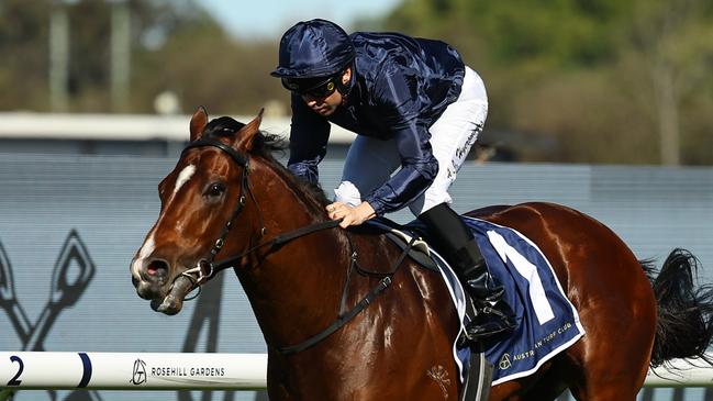 Storm Boy won the San Domenico Stakes first-up. Picture: Jeremy Ng/Getty Images