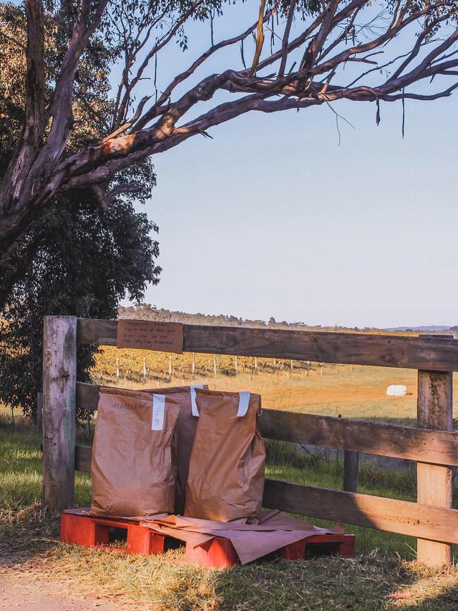 Locally grown wheat ready for pick-up at Tuerong Farm. Picture: Madeleine Stuchbery