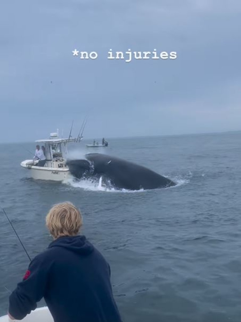 The moment a whale completely took out a boat off New Hampshire.