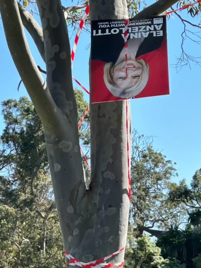 Elaina Anzellotti‘s posters were hung from trees.