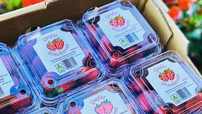 Shaylee Strawberries is expanding into making strawberry wine. Picture: Supplied