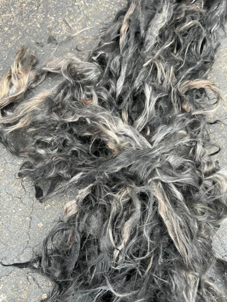 What is muffler hair Woman finds clump of hair in car exhaust