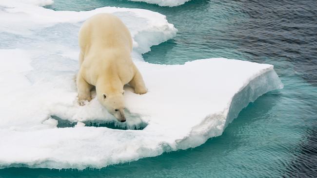 Arctic ice has hit low levels, experts say.