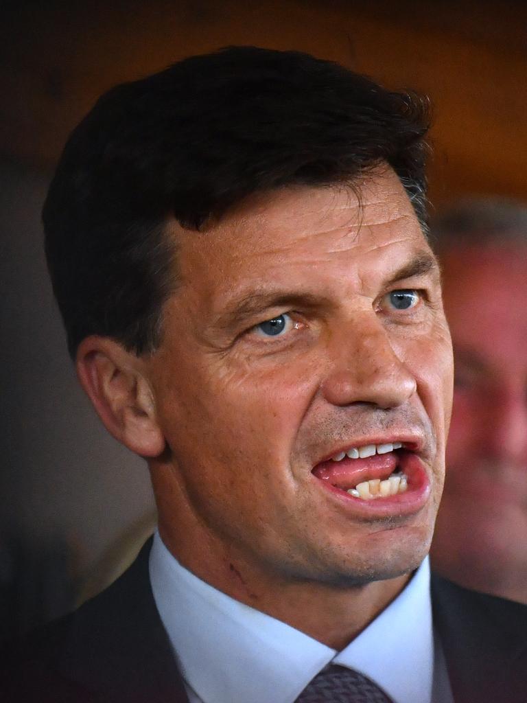 Minister for Energy Angus Taylor says Labor’s plan will ‘wreck the economy’. Picture: AAP