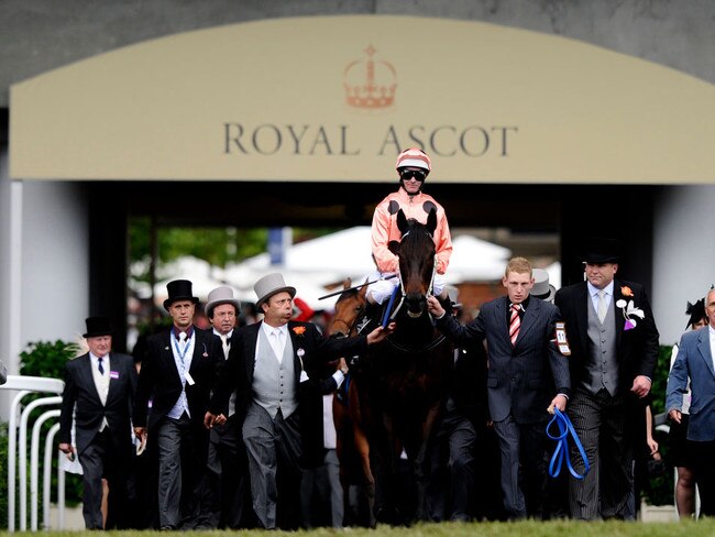 Black Caviar stepping out at Royal Ascot