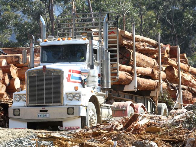 Forest peace deal, leaves forestry workers unsure of future, loggers in a coupe near Lune River which has been earmarked to cease production, a logging truck