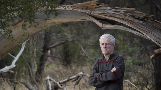 Tasmanian Conservation trust Peter McGlone. Picture: Chris Kidd