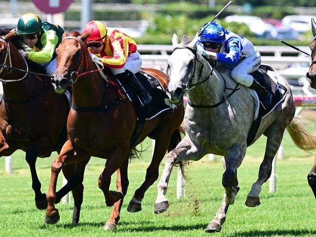 Texas Fireball (grey horse) produced a strong win at Eagle Farm. Picture: Grant Peters, Trackside Photography