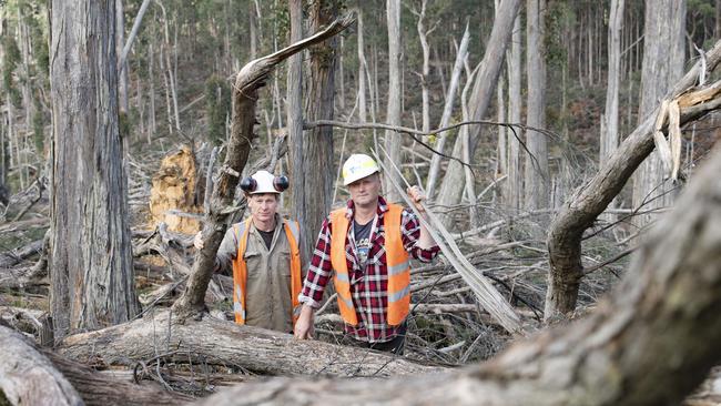 Legal action to stop Wombat Forest firewood cutters Paul Beaton and Dale Tiley from salvaging windblown trees has led to the early demise of community forestry.