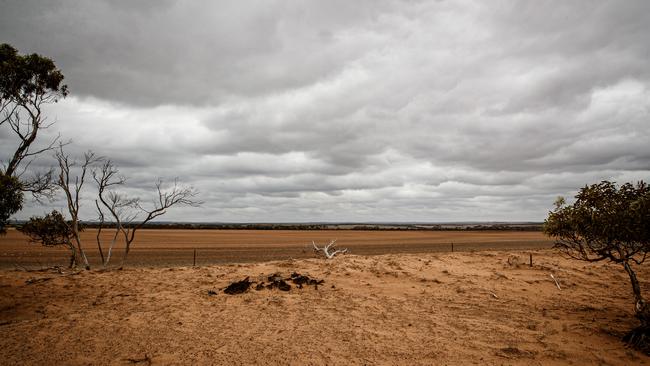 ’Napandee’ at Kimba, the property chosen to become the new National Radioactive Waste Management Facility. Picture Matt Turner