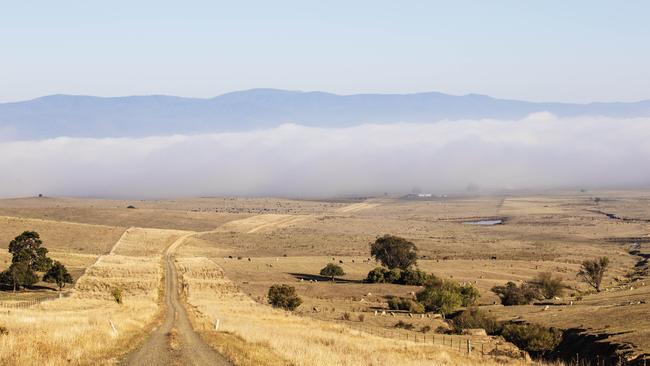 View down to saleyards on the first day at Hinnomunjie.