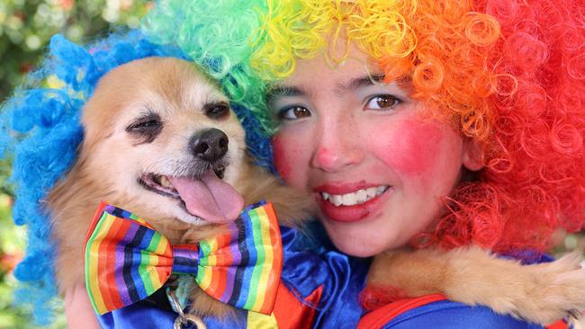 Jacinta Gurney and Buddy at the Ray White Surfers Paradise Next Top Dogel competition on Tedder Avenue Main Beach. Picture, Portia Large.