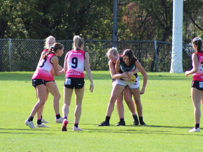 SFLW Community League: Hutchins v Cygnet. Picture: Jake Garland