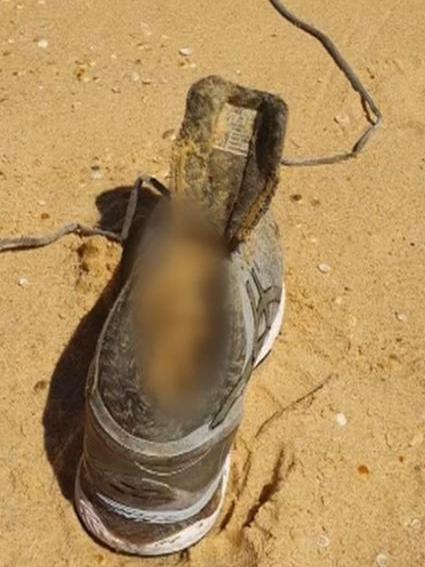 A group of campers stumbled upon Melissa Caddick’s decomposed foot at a southern NSW beach. Picture: 7NEWS