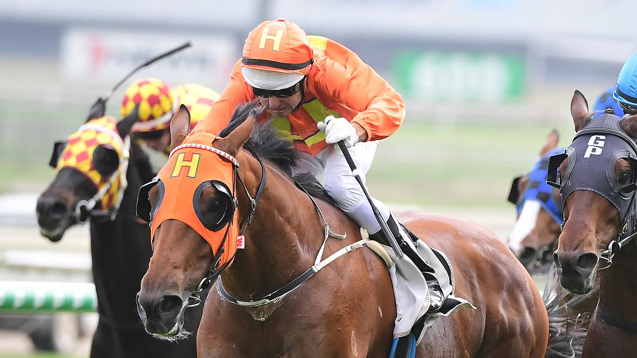 The Harrovian winning at Doomben. Picture: Trackside Photography