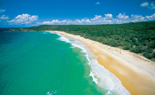 Alexandria Bay, Noosa National Park. Photo: Courtesy of Tourism Queensland