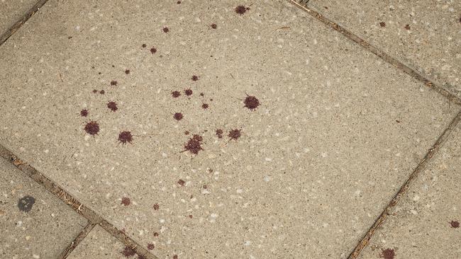 Blood spatter after multiple people were stabbed and injured at the Nairobi Lounge in 2022. Picture: Matt Loxton