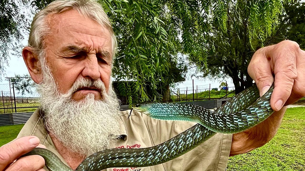 Darling Downs Snake Catchers owner Gunter Glaser answered the call. Picture: Supplied