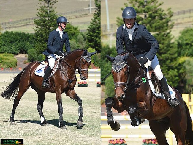 Massimo Quality is celebrated by Finch Farm as a stallion with rideability and scope. Image credit: Oz Shots Photography.