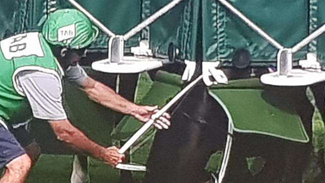 Ballistic Boy tries to dive under the barriers at Eagle Farm. Picture: Supplied