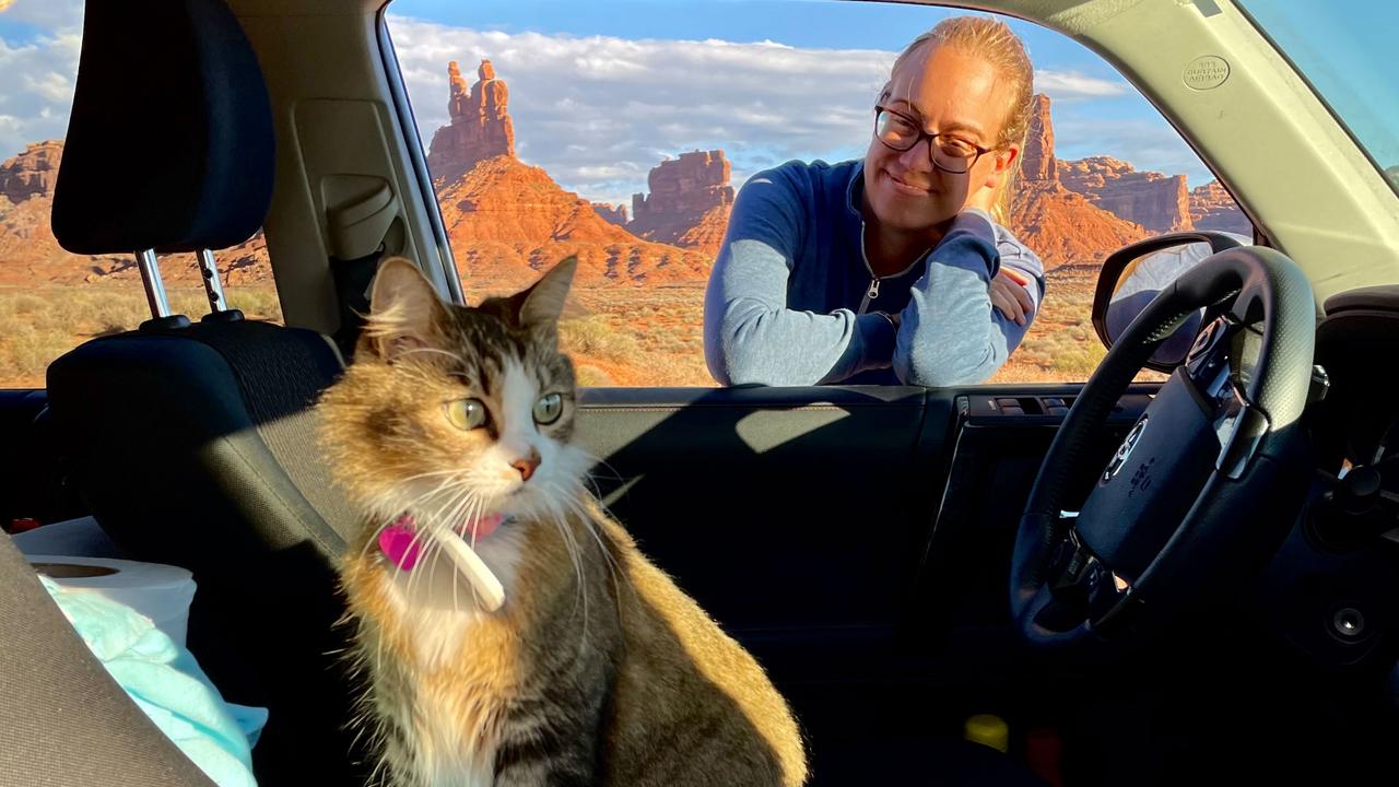 Bao Zi loves the desert. Picture: Caters News Agency