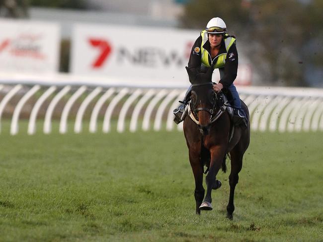 Winx ridden by Johanne Taylor put through early morning track work at the Gold Coast Turf Club in 2015. Picture: JERAD WILLIAMS