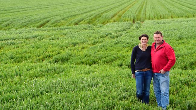 Raising power: Matthew and Rachel Hinkley in front of their raised cropping beds.