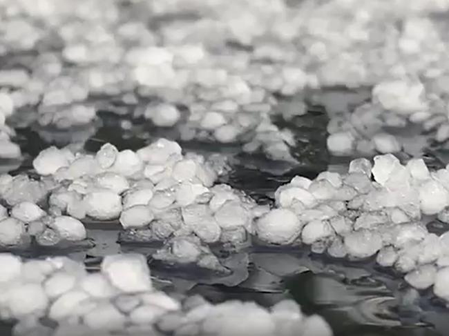 Large hailstones blanketed Canberra today.