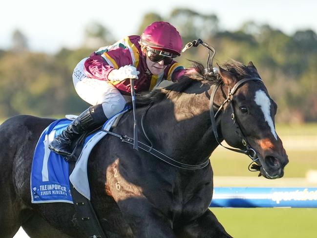 Gentleman Roy ridden by Celine Gaudray wins the Tile Importer Handicap at Sportsbet Sandown Hillside Racecourse on June 15, 2024 in Springvale, Australia. (Photo by Scott Barbour/Racing Photos via Getty Images)