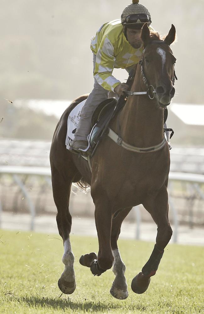 Criterion and Michael Walker work on the Flemington course proper during the spring. Picture: Michael Klein