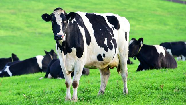 Dairy farmers face lower milk prices in the next three years.