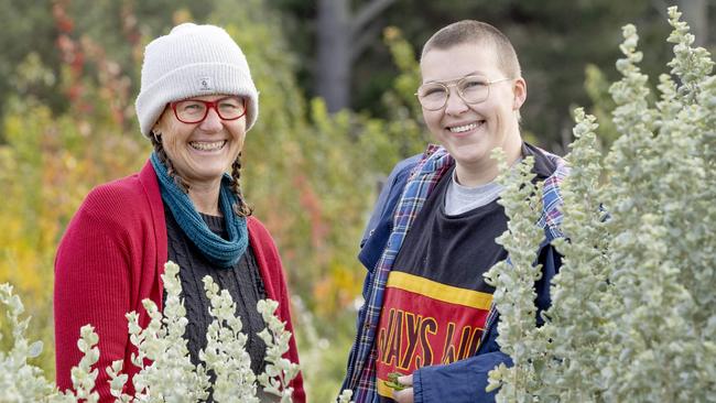 Harcourt Organic Farming Co-Op operator Katie Finley with Ira Barker from Murnong Mummas in the bush foods plot next to the 'old man' saltbush. Picture: Zoe Phillips