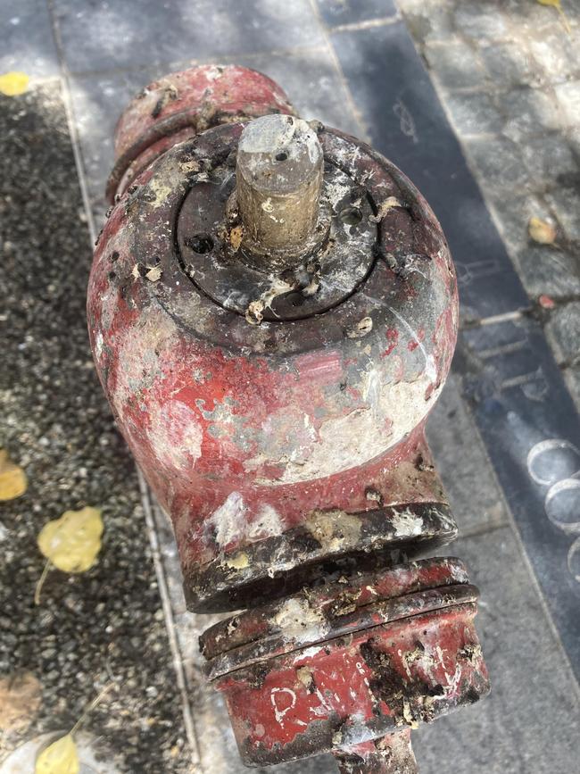 A fire hydrant covered in bird poo outside Sho in Leigh St. Picture: Miles Kemp