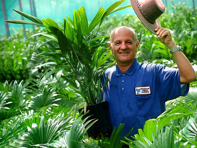 Such was his skills as a horticulturist, Helmut Schimmel even sold palms to the country synonymous with palm trees – Saudi Arabia. Picture: Patrina Malone