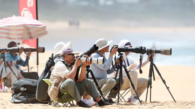 Photographers at the 2021 Vissla Central Coast pro at Avoca Beach Thursday 4th March 2021. pic Sue Graham