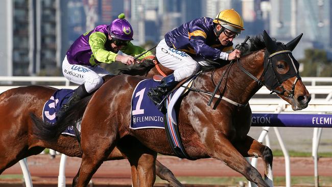 Buffalo River will be hard to run down at Sandown. Picture: AAP