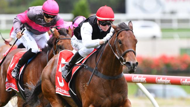 Americain Angel will have to overcome an inside barrier at The Valley. Picture: Vince Caligiuri/Getty Images