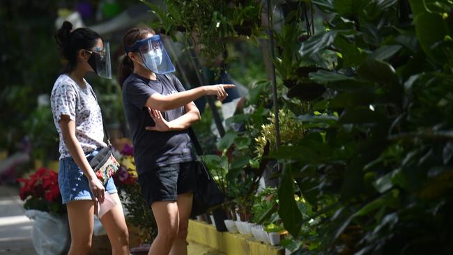 Plants for sale at a nursery in Manila as the ‘plantdemic’ spreads across the Philippines. Picture: