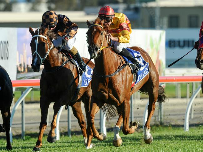 Amata (red cap) wins at Gold Coast on September 24, 2016.