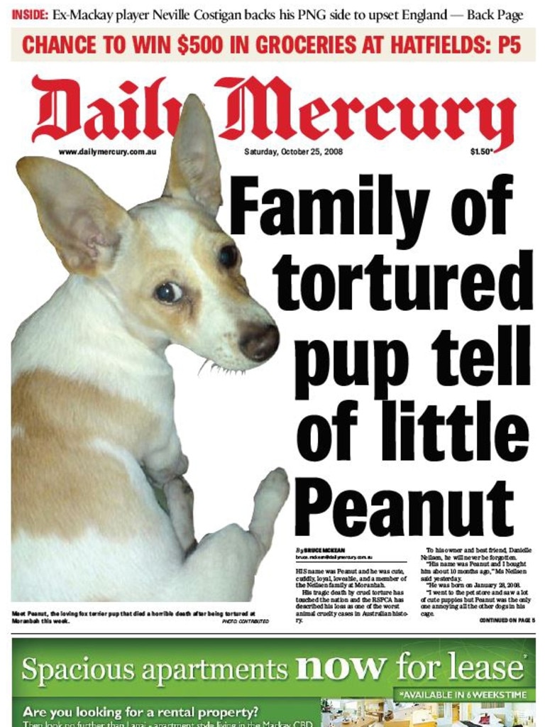 Nine horror animal cruelty cases that shocked Mackay | The Courier Mail