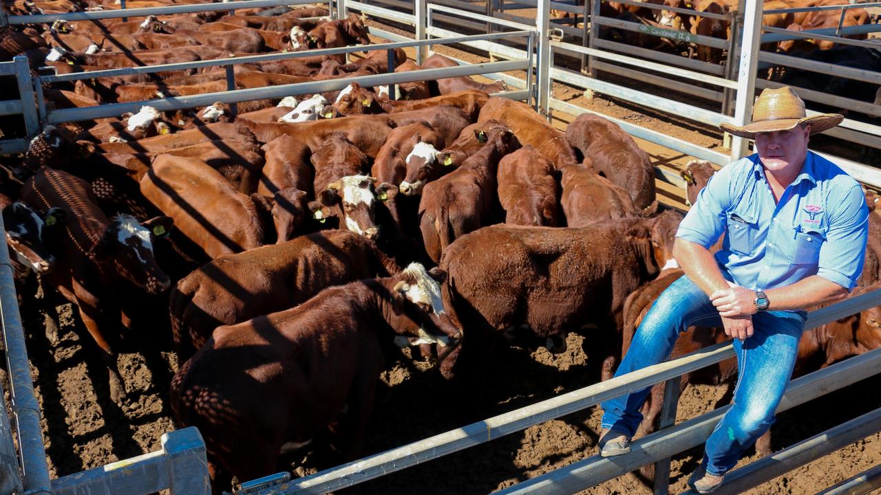 Livestock agent and auctioneer Brad Neven.