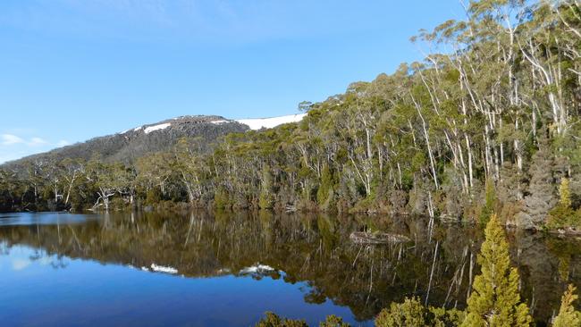 Eagle Tarn is part of the Tarn Shelf hike at Mt Field. Picture: Kevin Kiernan