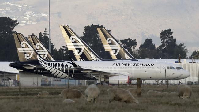 Air New Zealand planes sit parked on the tarmac as sheep graze in a nearby field at Christchurch Airport. Picture: AP