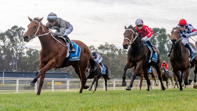 Do It Now earned a shot at Saturday grade with her debut win at Wangaratta earlier this month. Picture: Racing Photos via Getty Images