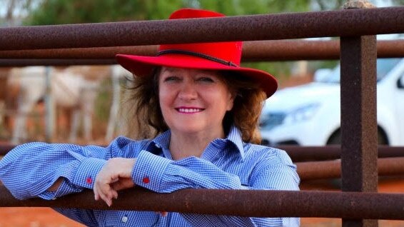 Gina Rinehart has almost 2 million hectares of farmland for sale, but that is less than a fifth of the 10 million-plus hectares she has amassed over the past decade.